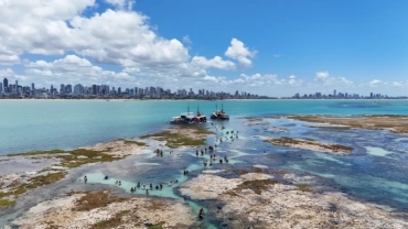 Passeio de Catamarã nas Piscinas Naturais de Picãozinho